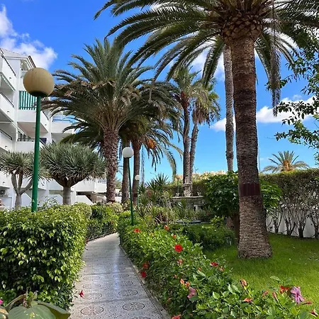 Apartment Surycan Vista Dunas Maspalomas (Gran Canaria)